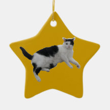 Shorthair Ornaments