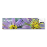 Short's Aster bumper stickers