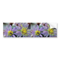 Short's Aster Bumper Sticker