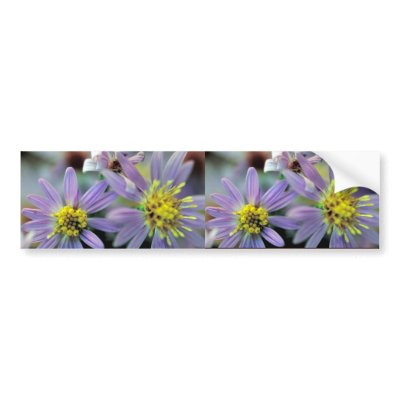 Short's Aster Bumper Sticker by animalpark