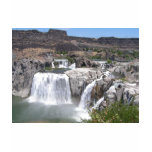 Shoshone Falls t-shirts