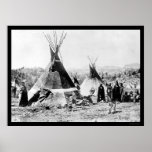 Shoshoni Indian and Skin Tipis 1884 posters
