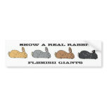 Show A Real Rabbit Flemish Giant Bumper Sticker bumper stickers