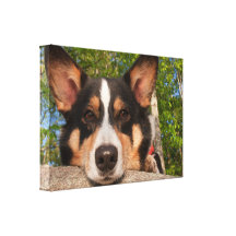 Show Me Sad Stretched Canvas Print