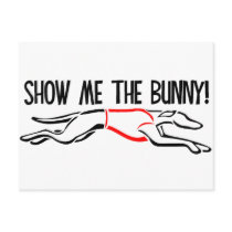 Show me the Bunny! Post Card