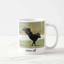 Show Off Mug