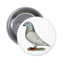 Show Racer Concept Hen Buttons