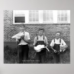 Showing Chickens at School posters