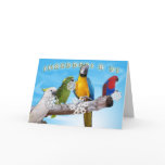 Shredders R Us Greeting Cards
