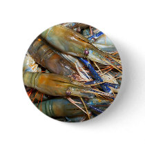 shrimp pinback button
