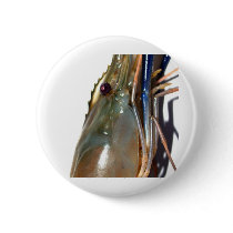 shrimp pinback buttons