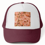 shrimp hat