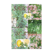 SHRIMP SCAMPI STRETCHED CANVAS STRETCHED CANVAS PRINTS
