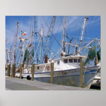 Shrimpers Posters