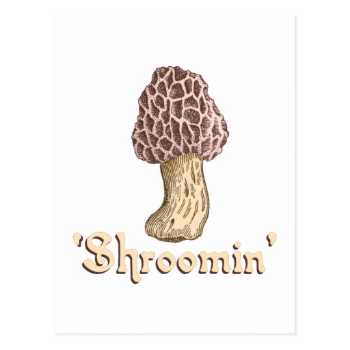 Shroomin Postcard