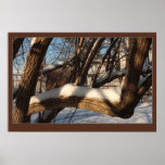 Shrouded Branch Poster