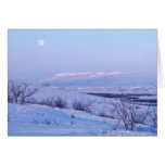 Shrub Thickets in Snow Along the Noatak River   cards