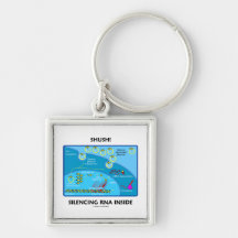 Shush! Silencing RNA Inside (Molecular Biology) Keychains