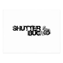 Shutter Bug Postcards