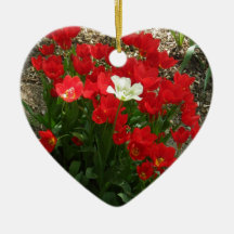 Shy and retiring christmas ornaments
