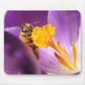 Shy Bee ~ mousepad