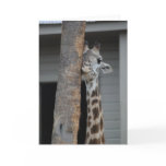 "Shy Giraffe" Greeting Card
