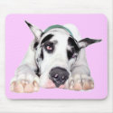 Shy Harlequin Great Dane mousepads