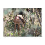 shy impala post cards