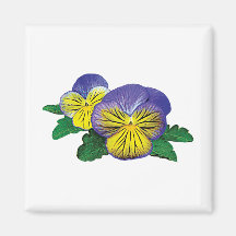 Shy Little Pansy Refrigerator Magnets