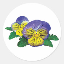 Shy Little Pansy Round Stickers