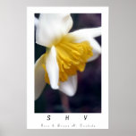 "SHY" POSTERS