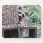 Shy Racoon Mousepad