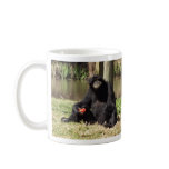 SIAMANG GIBBON, DUBBO ZOO, AUSTRALIA MUGS