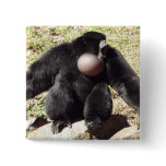 Siamang Gibbon Square Button Badge