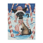 Siamese Candy Cane Kitty postcards