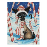 Siamese Candy Cane Kitty Postcards
