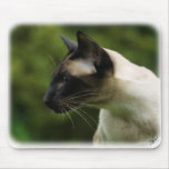Siamese Cat 9W027D-128 Mouse Pads