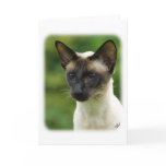 Siamese Cat 9W027D-133 cards