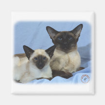 Siamese Cat 9W055D-035 Refrigerator Magnet