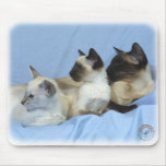 Siamese Cat 9W055D-074 Mouse Pads