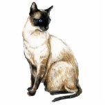 "Siamese Cat" Art Photo Sculpture photo sculptures