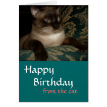 Siamese Cat Birthday Card