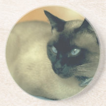 Siamese Cat Coasters