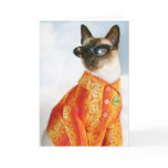Siamese Cat in Shades cards