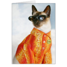 Siamese Cat in Shades Cards