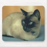 Siamese Cat Mousepad