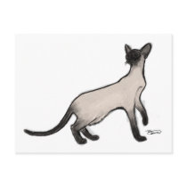 Siamese Cat Post Card