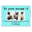Siamese Cats cards
