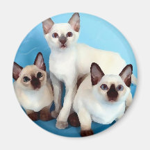 Siamese Cats Refrigerator Magnets