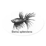 Siamese fighting fish- Betta splendens Sticker